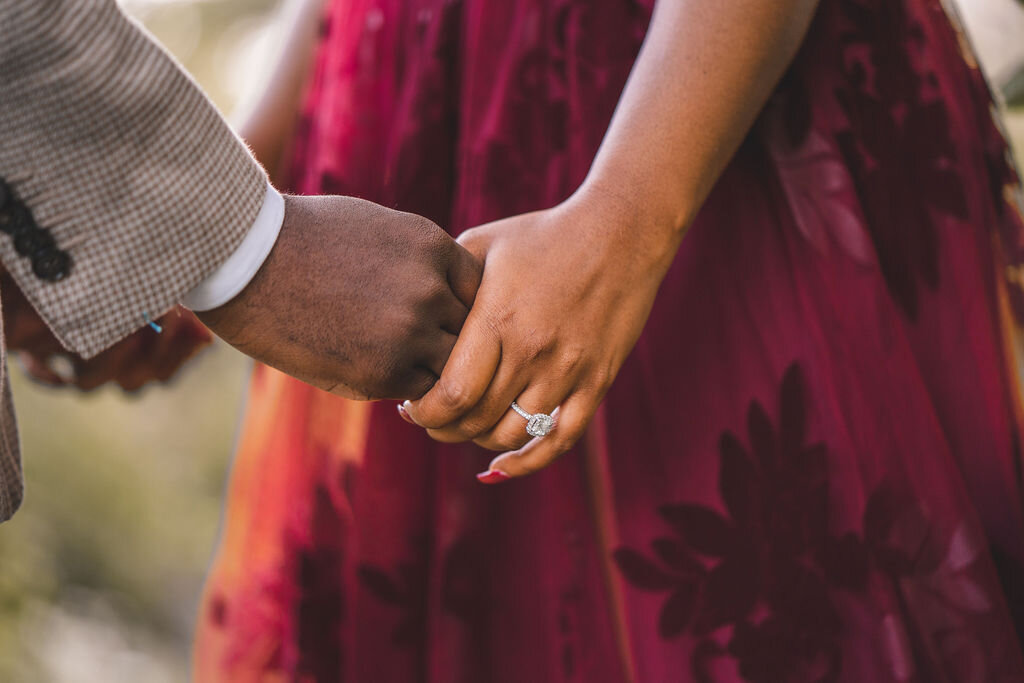 Lincoln-Park-Engagement-Photos (8).JPG