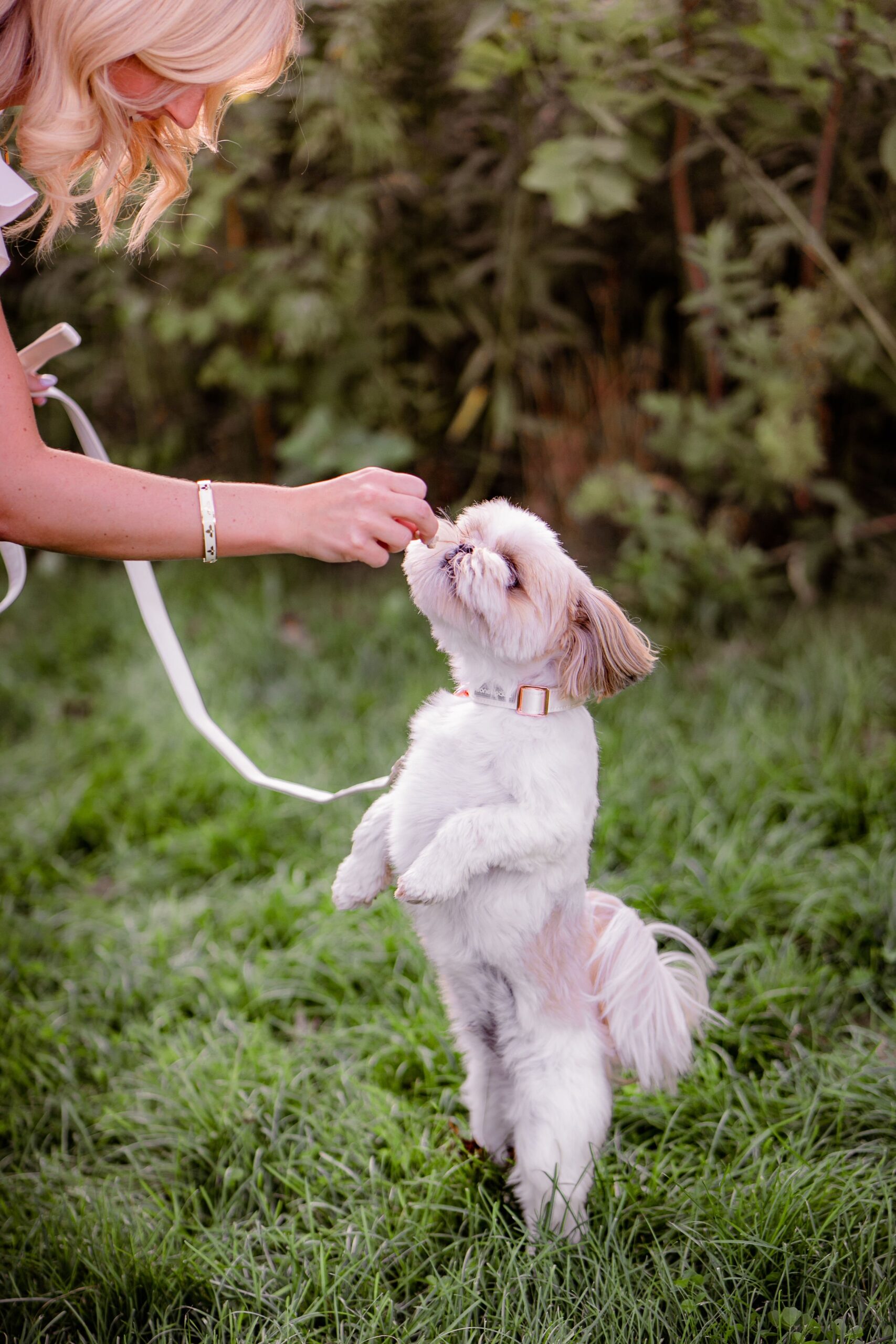 dog-engagement-session-chicago (3).jpg
